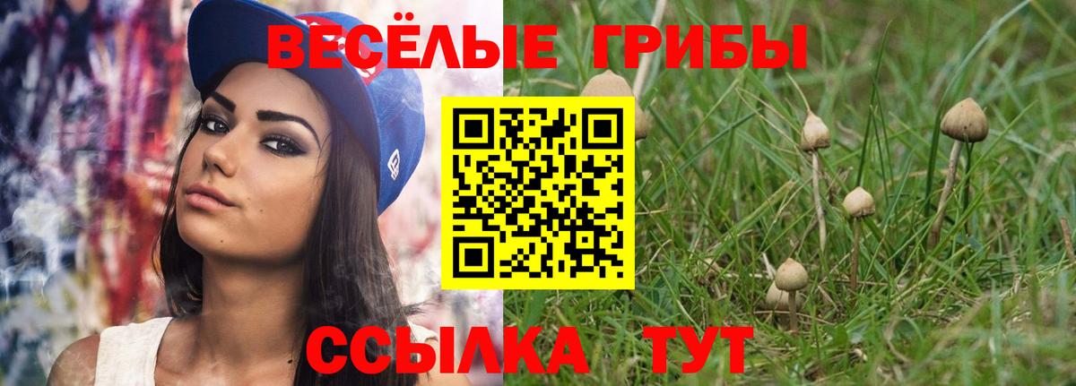 Галлюциногенные грибы GOLDEN TEACHER  Вход с VPN  Майский  Галлюциногенные грибы GOLDEN TEACHER 